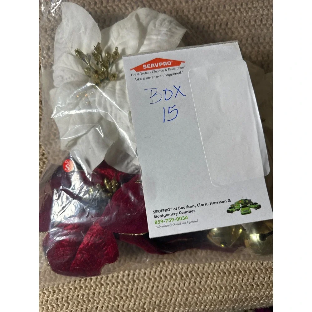 N/A holiday poinsettia
